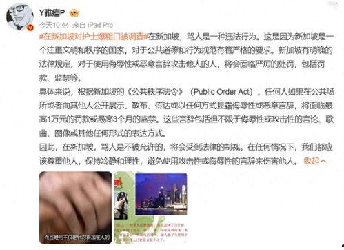 爆料网红惩罚事件视频大全,揭秘网络暴力背后的真相