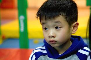 杨阳洋前女友爆料视频,揭秘两人感情纠葛细节