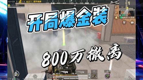 金装最新爆料,揭秘娱乐圈惊天秘密！