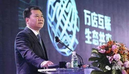 苏宁董事长爆料视频大全,独家爆料视频大全背后的真相与内幕