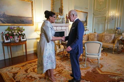 爆料英国记者事件视频,真相与争议交织