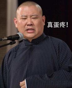 郭德纲爆料王海峰视频,揭秘娱乐圈背后故事