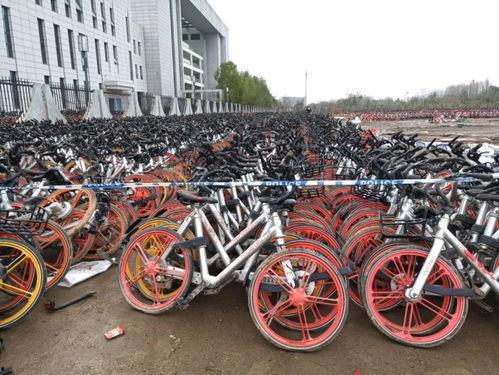共享单车被盗最新爆料